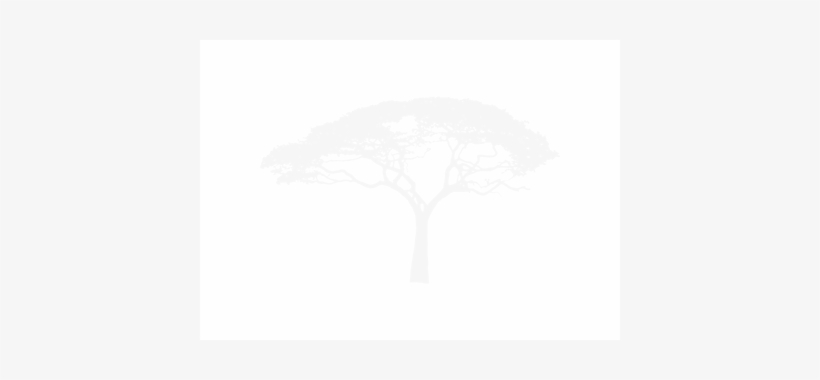 African Tree Silhouette Png, transparent png download