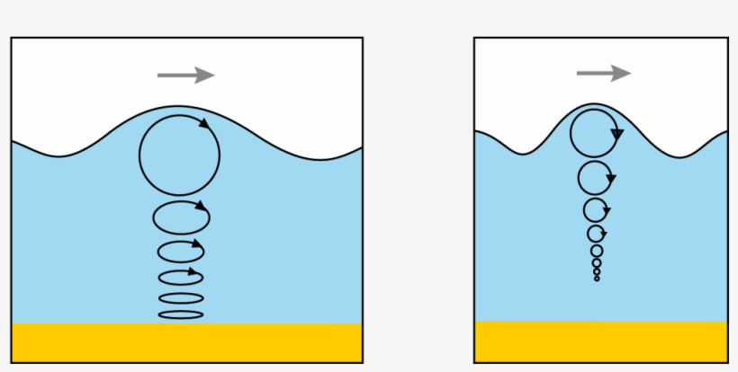 A Longer Period Wave Feels The Bottom, But A Shorter - Water, transparent png download