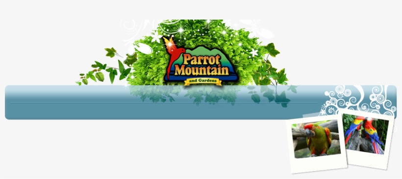 Parrott-mountain - Gatlinburg Parrot Mountain, transparent png download