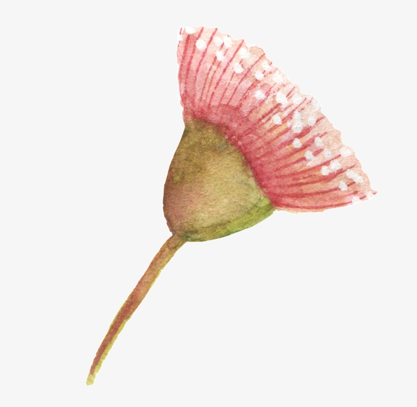 Pink Dandelion Transparent - Portable Network Graphics, transparent png download