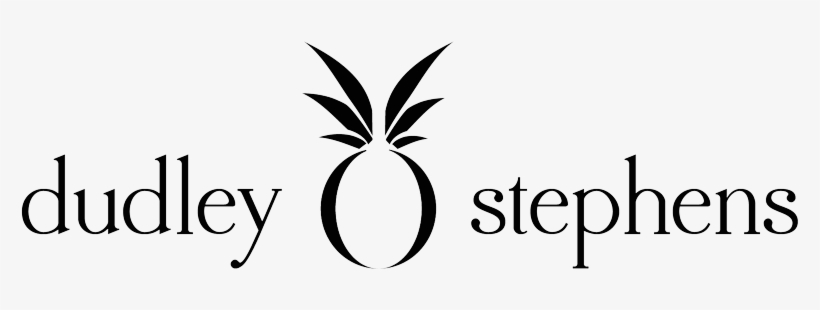 Dudley Stephens - Journey Of Eleven Moons [book], transparent png download