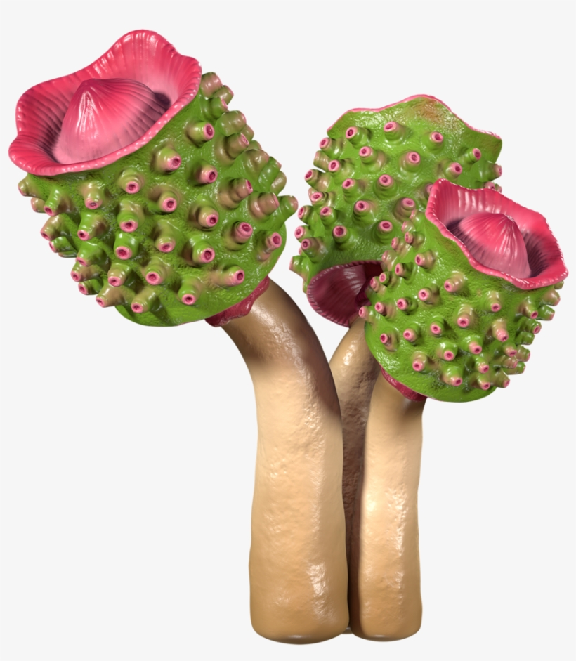 For Club Sandwich - Club Sandwich, transparent png download