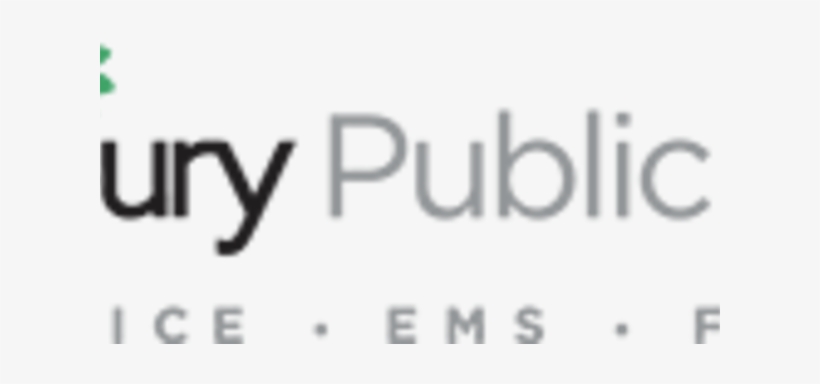 Bee Hive In Roadway, Gun Pointing On The Highway, Council - Woodbury Public Safety Logo, transparent png download