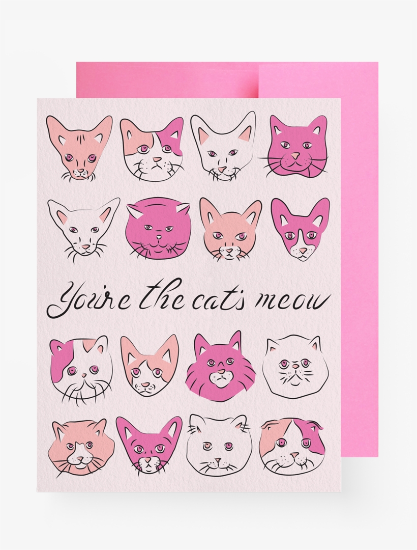Cat, transparent png download