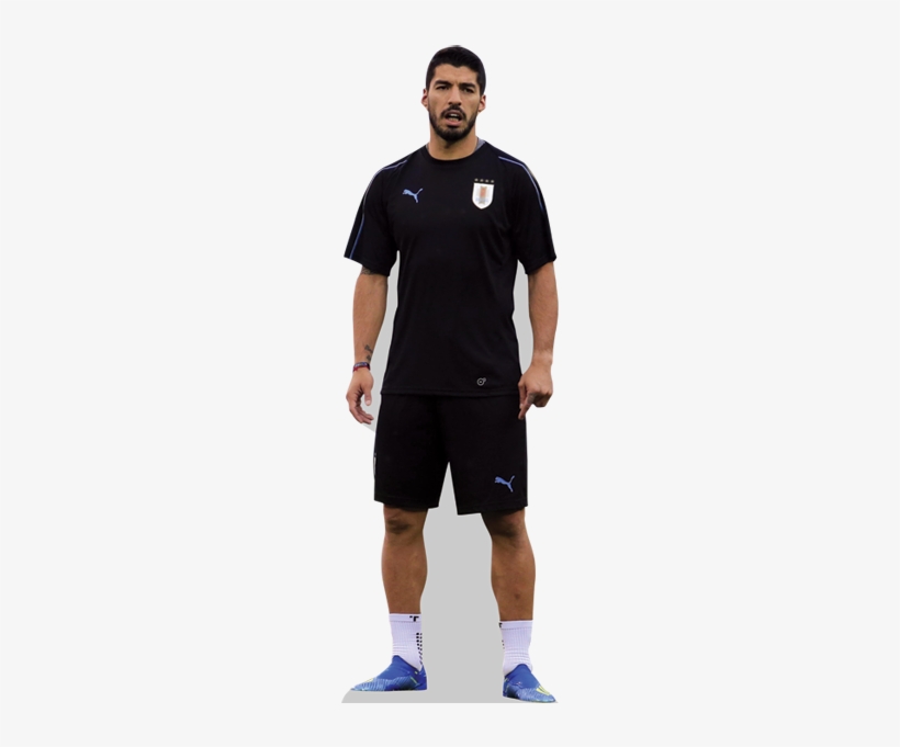 Luis Suarez - Cardboard Cutouts, transparent png download