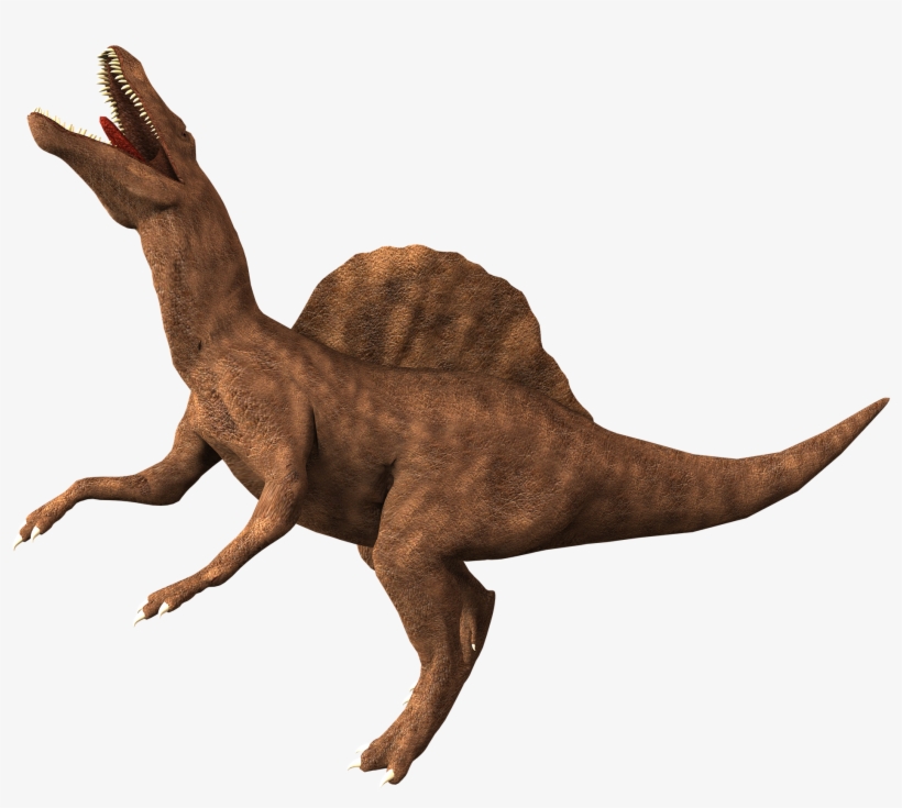 Ravage Throw Blanket, transparent png download