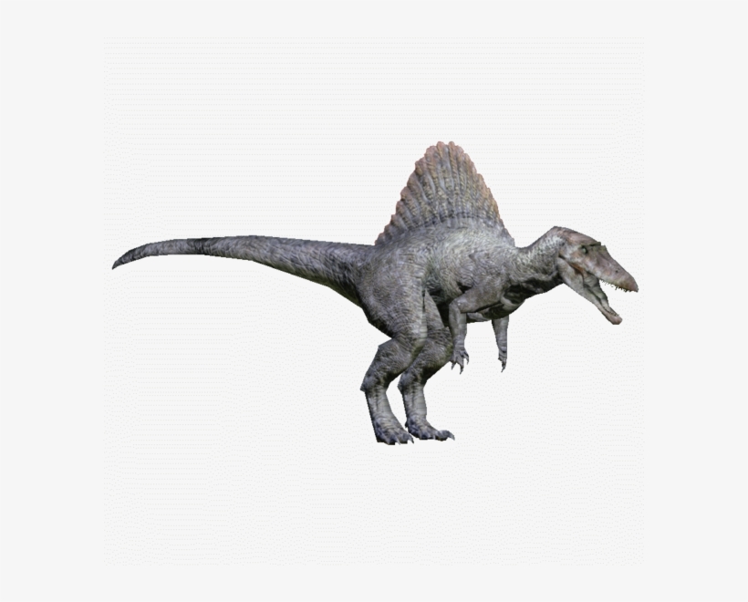 Spinosaurus - Zt2 Download Library Spinosaurus, transparent png download