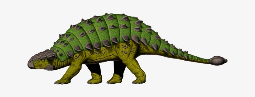 Spinosaurus Clipart Ankylosaurus - Ankylosaurus Dinosaur Clipart, transparent png download