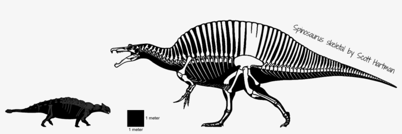Ankylosaurus Vs Spinosaurus - Songhua River Mammoth Vs V Rex, transparent png download