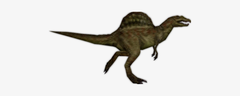 Spinosaurus Meaning - Spinosaurus, transparent png download