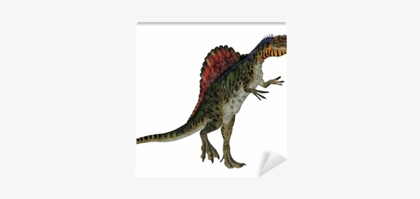 Spinosaurus, transparent png download