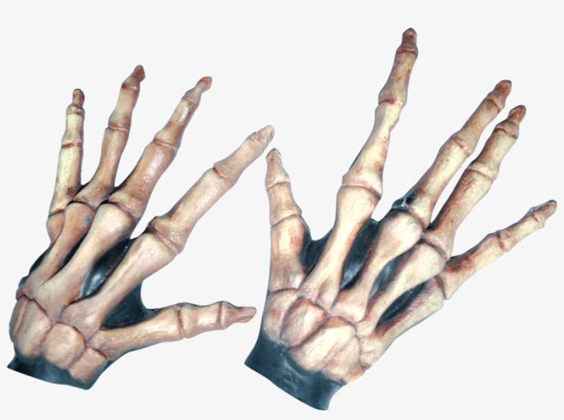 Large Skeleton Hands Bone-colored - Large Skeleton Hands, transparent png download