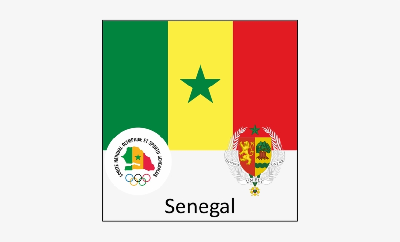 Republic Of Yugoslavia , South Africa, South Korea, - Senegal Coat Of Arms Round Ornament, transparent png download