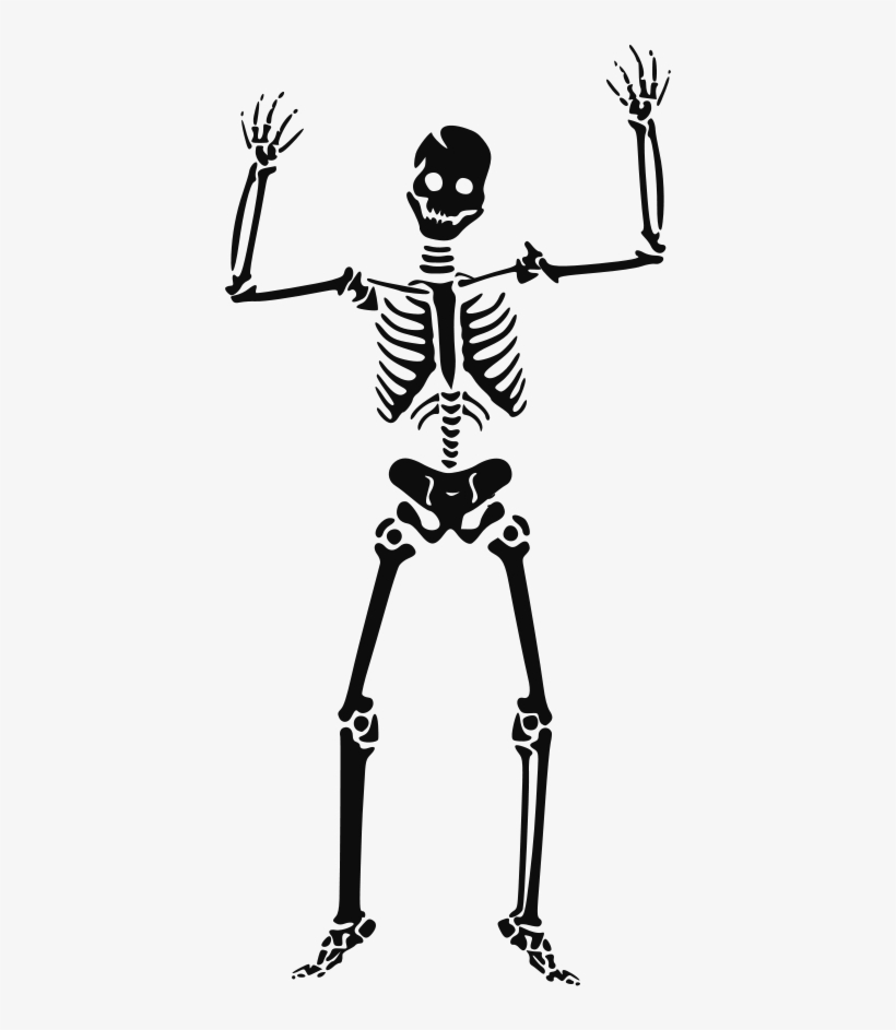 0018 - Skeleton Clipart, transparent png download