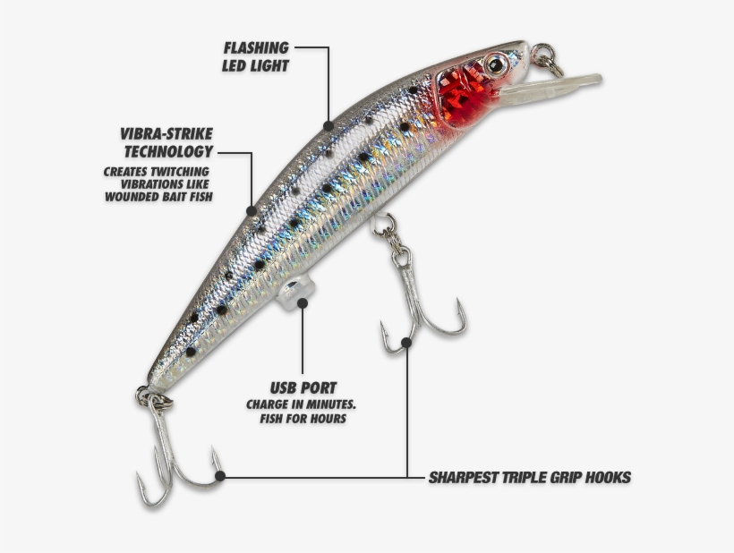 As Seen On Tv & Beyond Rechargeable Twitching Lure PNG Image