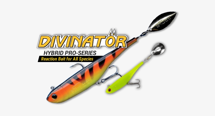 Divinatör Hybrid Pro-series - Biwa Baits, transparent png download