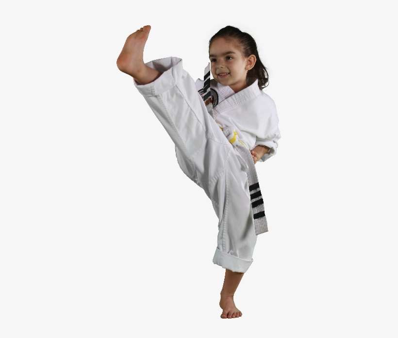 Welcome To Emmons' Taekwondo Academy - Karate, transparent png download