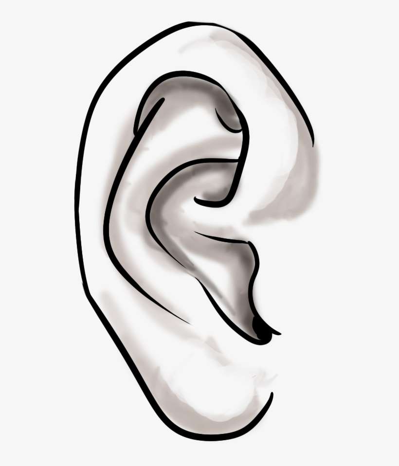 Below Is The Variety Of Icon Imagery I Created, Eyes, - Portable Network Graphics, transparent png download