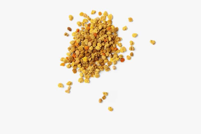Bee Pollen - Hdi Clover Honey Harga, transparent png download