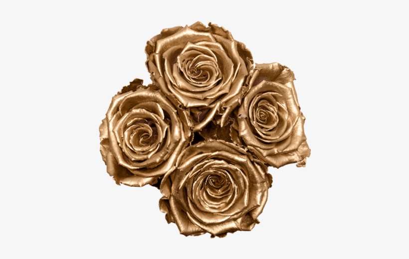 Garden Roses, transparent png download