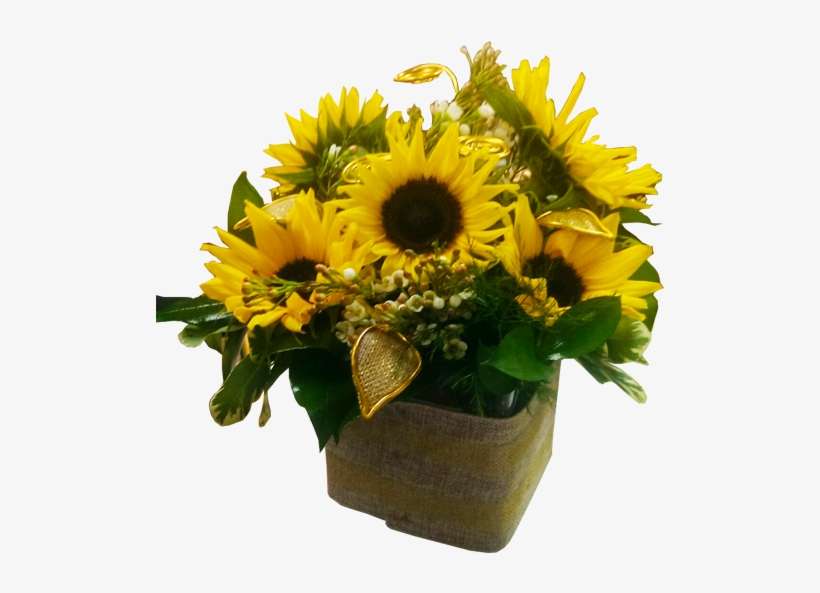 Sunflowers In Gold - Sunflower, transparent png download