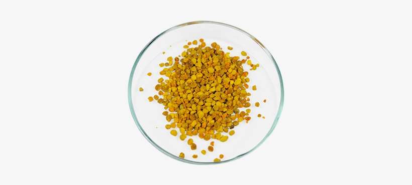 Efilwen Shrimps Bee Pollen, transparent png download