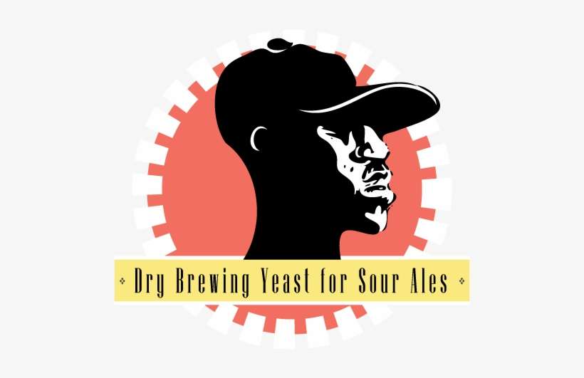 Blackmanbrew - Deore Aynakol Yaprağı 46, transparent png download