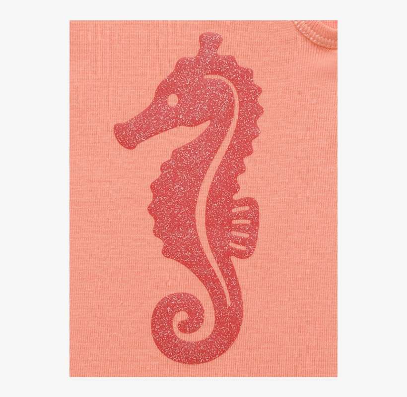 Tapete Ava Sea Horse - Northern Seahorse, transparent png download