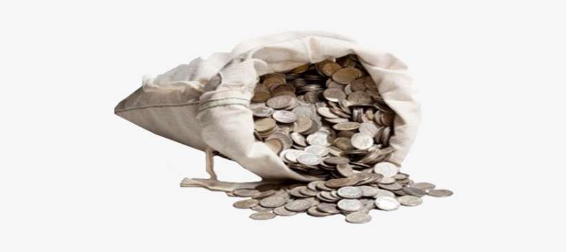 silver coin bag
