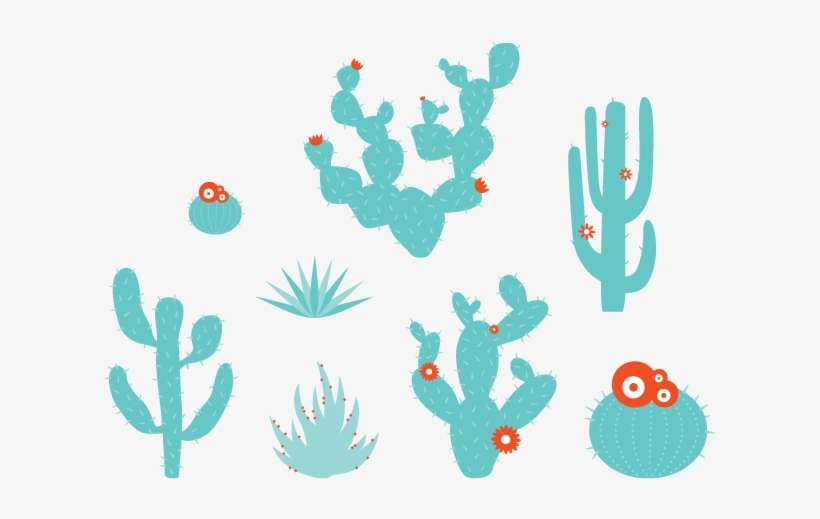 Desert Plants Wall Decals - Cactus, transparent png download