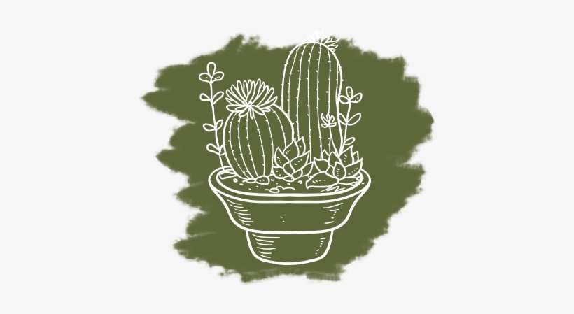 Full List Of Services - Hedgehog Cactus, transparent png download