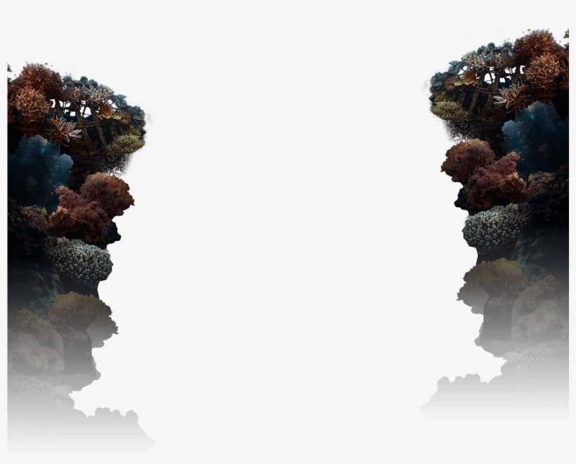 Inspiring Communities To Realise The Hidden Economic - Reflection, transparent png download