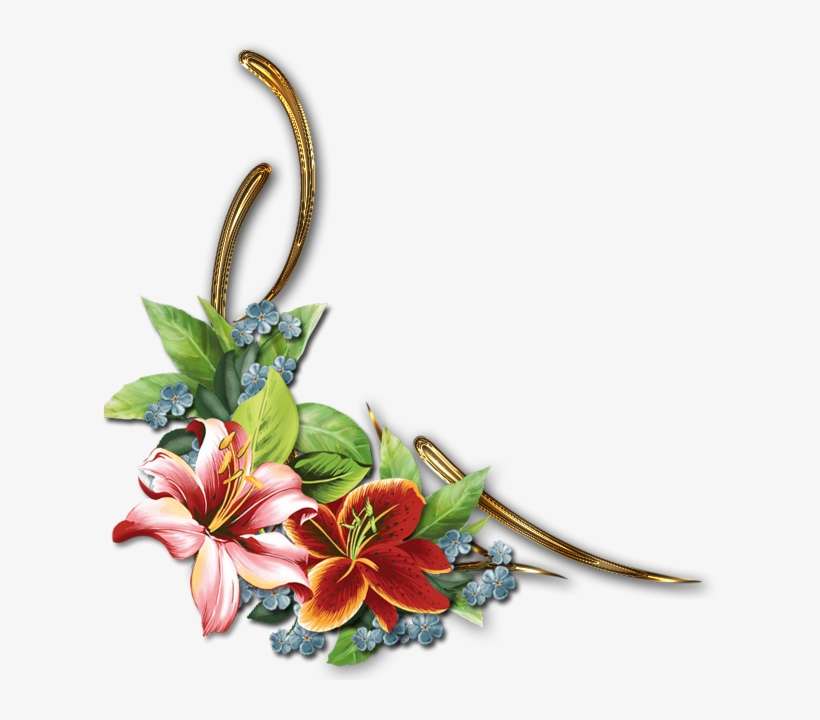 S 2, Coins, Tube, Divider, Angles, Moldings, Border - Flower, transparent png download