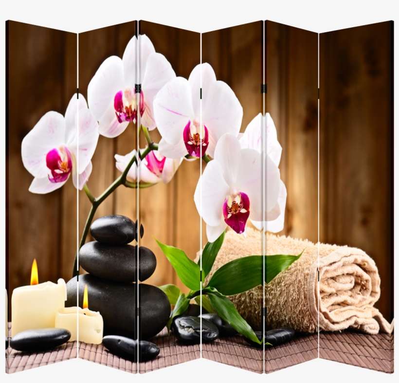 6 Panel Folding Screen Room Canvas Divider- Flower - Toa Supply 6 Panel Folding Screen Canvas Divider- Flower, transparent png download