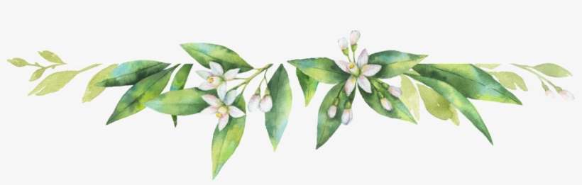 Growing In The Light And The Lifestyle Of A Priestess - Vector Graphics, transparent png download