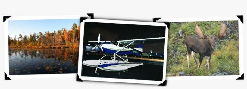 Air Tours - Acadian Seaplanes Llc, transparent png download