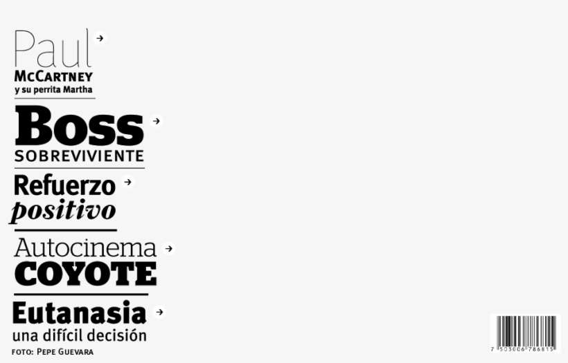 Se Busca Perro Extraordinario No - Ink, transparent png download