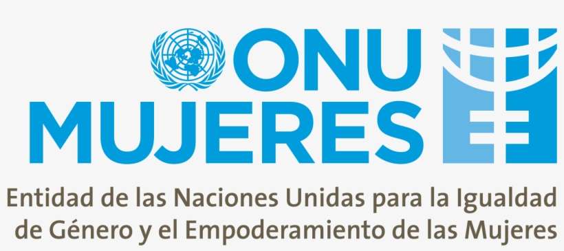 Onu Mujeres Voluntariado Comunicacion - Onu Violencia Contra La Mujer, transparent png download