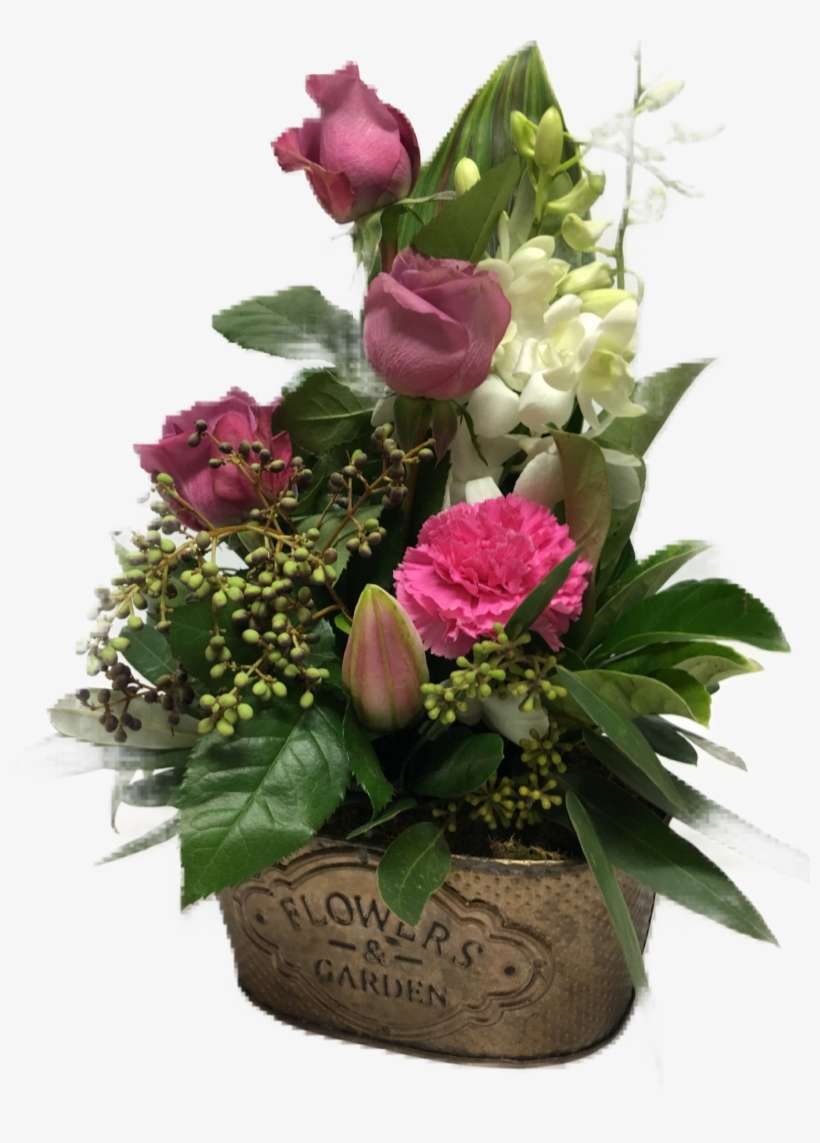 Rustic Flower Tins - Flowers Of Phillip Island, transparent png download