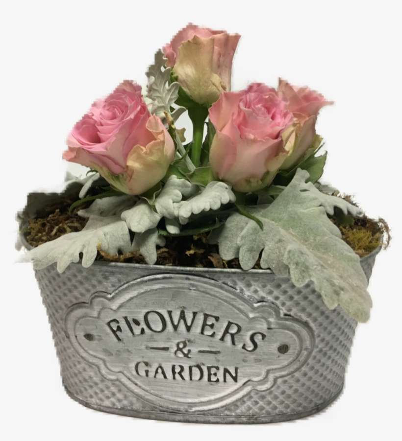 Rustic Flower Tins, transparent png download