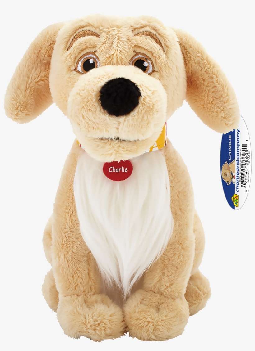Charlie The Golden Retriever - School Zone Charlie & Company Charlie Plush, transparent png download