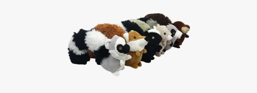 Dog Toys - Product, transparent png download