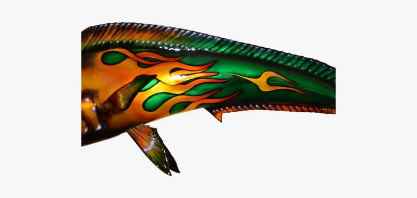 Mahi-bull With Hot Rod Flames - Marine Mammal, transparent png download