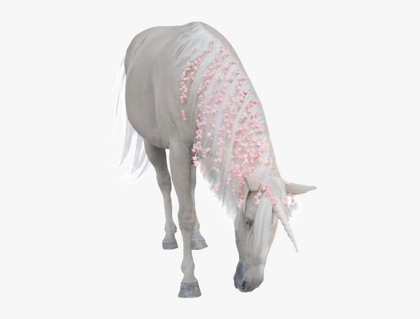 Hand Painted A Bowed Unicorn Png Transparent - Working Animal, transparent png download