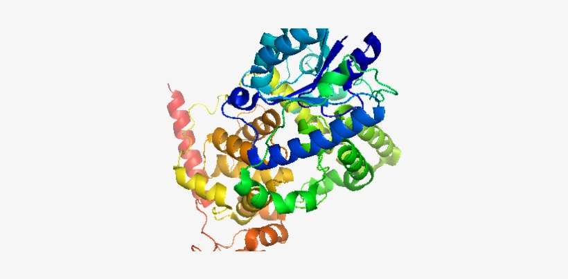 Researchers Show That Magnetic Fields Have Effects - Cytochrome C Oxidase, transparent png download