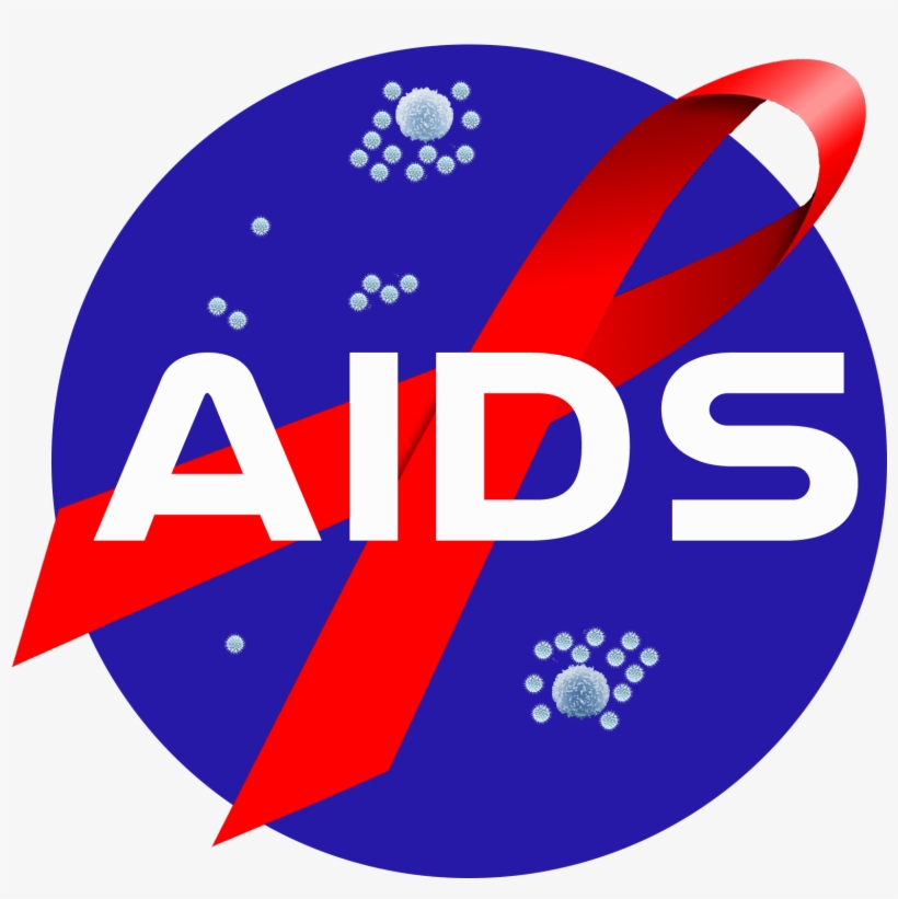 African International Destination - African Space Program, transparent png download