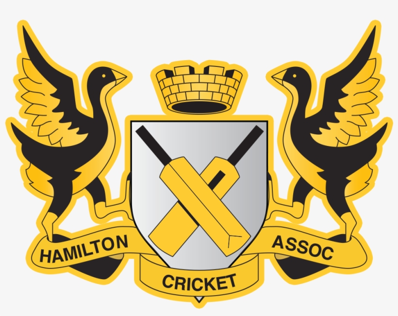 Recent Posts - Cricket New Logo 2017, transparent png download