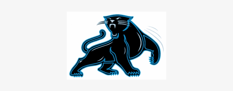Carolina Panther, transparent png download