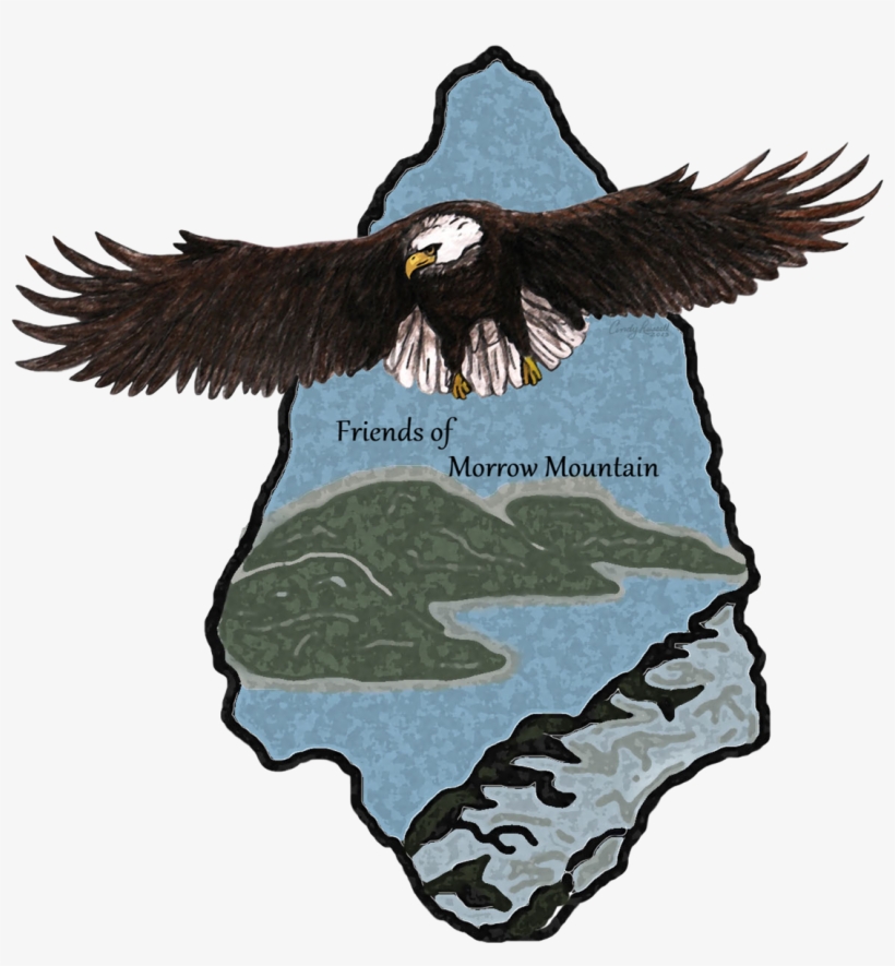 Friends Of Morrow Mountain State Park - Morrow Mountain State Park, transparent png download