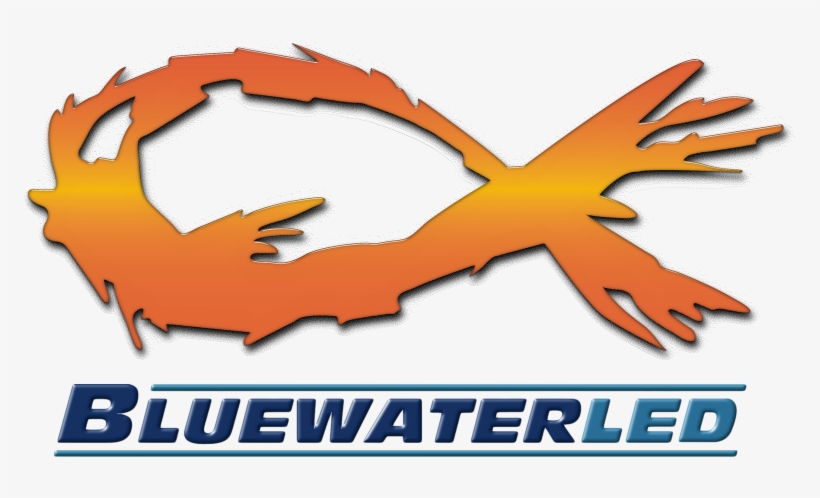 Toys For Tots November 5th Tournament Dates - Bluewater Led, transparent png download